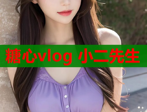糖心vlog 小二先生