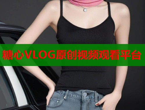 糖心VLOG原创视频观看平台  第1张